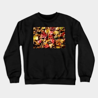 Colorful Fallen Autumn Leaves 1 - Seasons - Nature Abstract Crewneck Sweatshirt